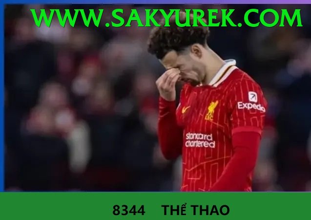 Cá Cược Thể Thao - 58WIN tải về